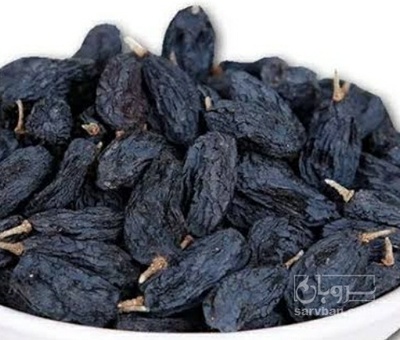 فروش مویز