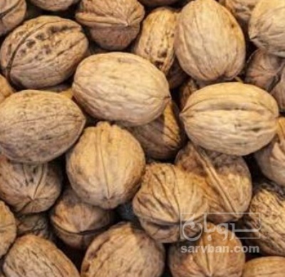 فروش گردو