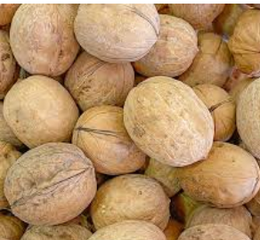 فروش گردو