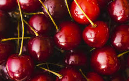 فروش گیلاس