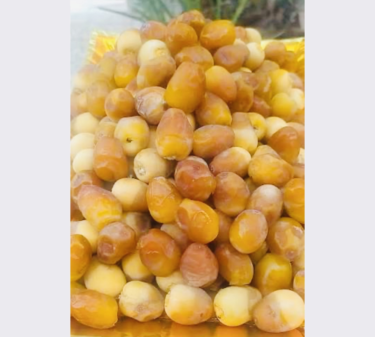فروش رطب