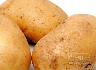 فروش سیب زمینی اگریا