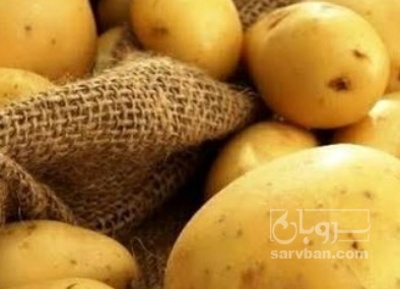 فروش سیب زمینی