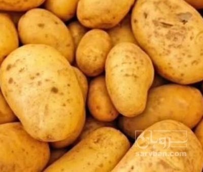 فروش سیب زمینی
