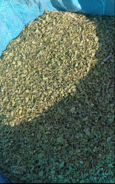 فروش آویشن خشک (گیاه‌ دارویی)