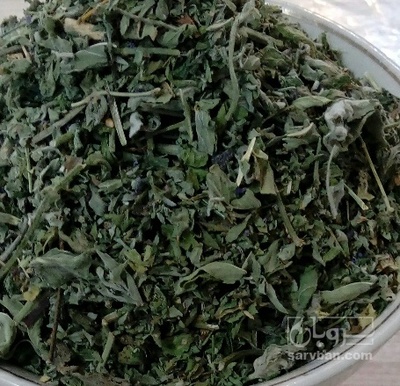 فروش پونه (گیاه‌ دارویی)