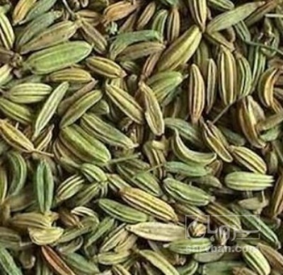 فروش زیره (گیاه‌ دارویی)