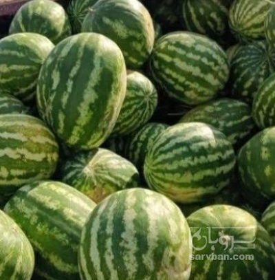 فروش هندوانه