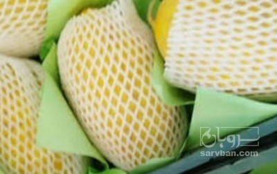 فروش طالبی جانا