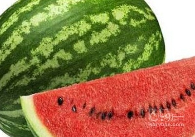 فروش هندوانه