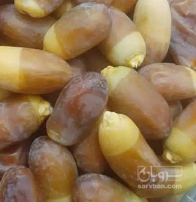 فروش رطب شهابی