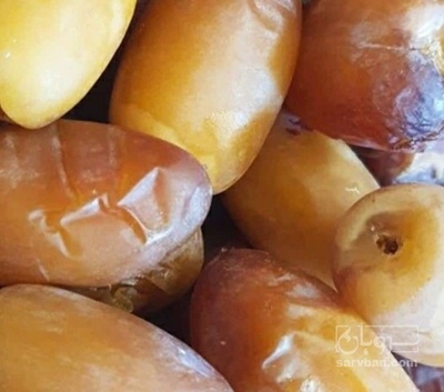 فروش رطب کبکاب