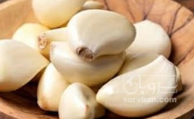 فروش سیر پوست کنده