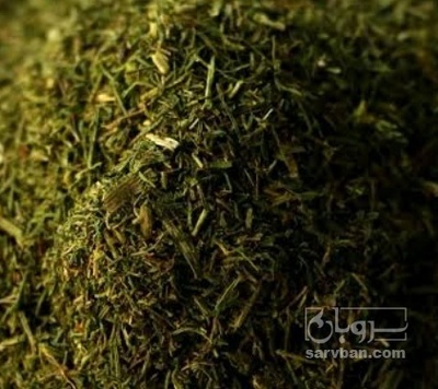 فروش شوید خشک (گیاه‌ دارویی)