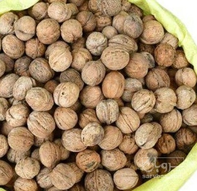 فروش گردو