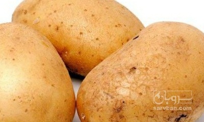 فروش سیب زمینی