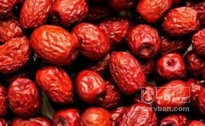 فروش عناب
