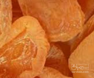 فروش برگه زردآلو