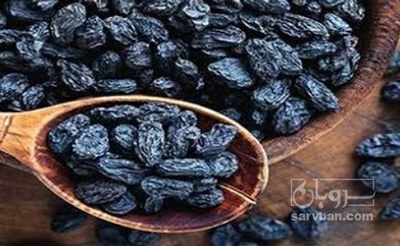 فروش مویز