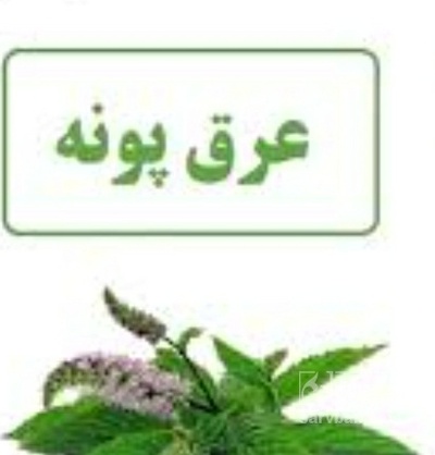 فروش عرق پونه