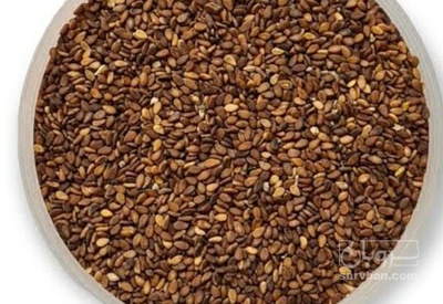 فروش کنجد بذری