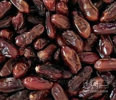 فروش خرما