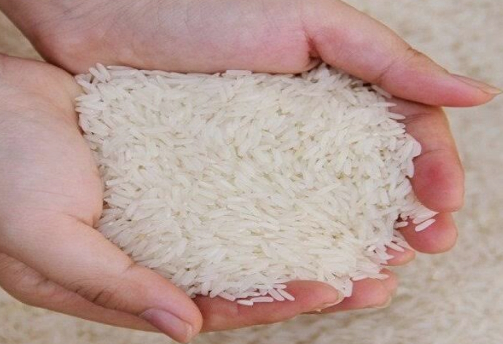 فروش برنج طارم هاشمی
