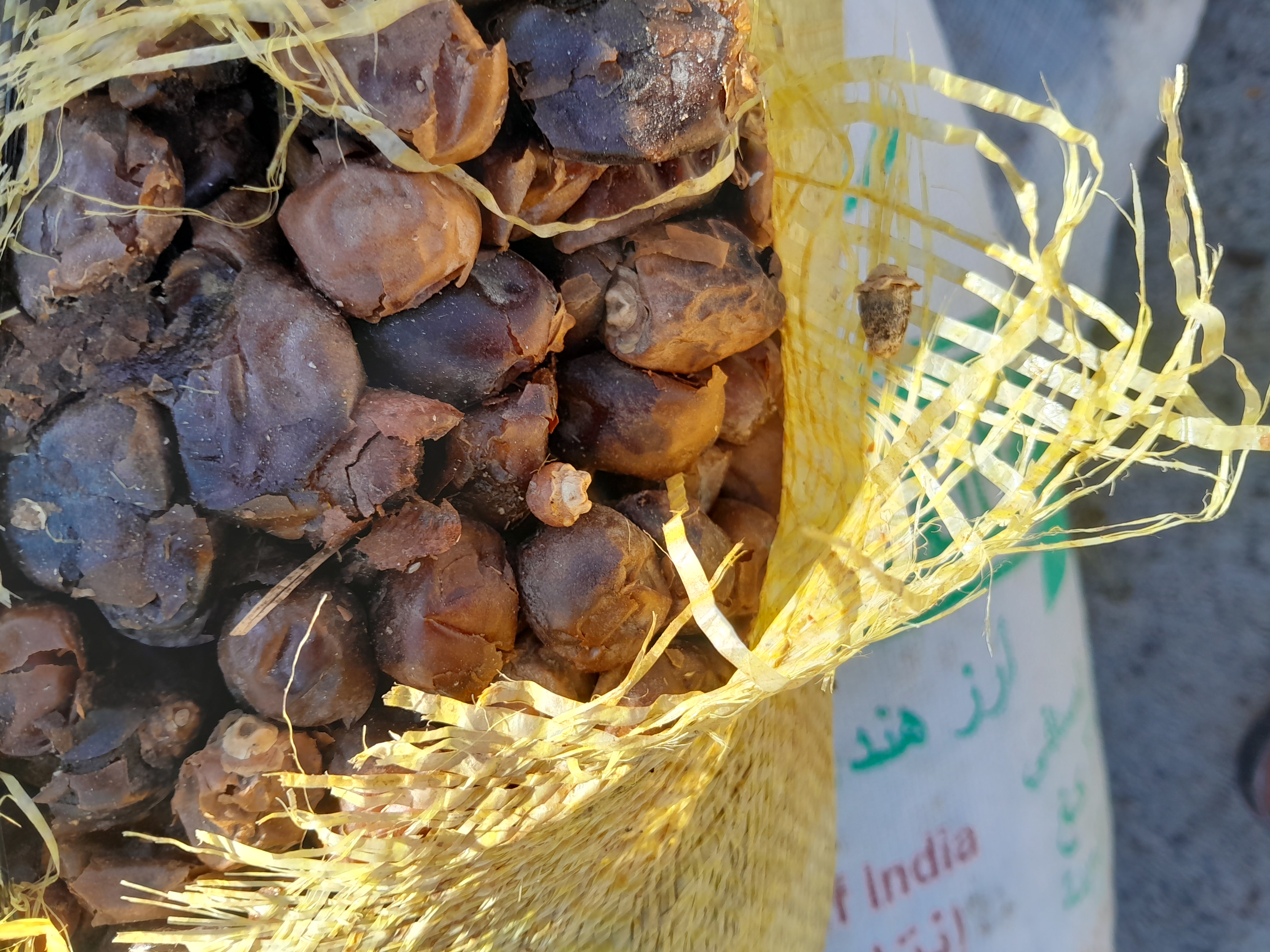 فروش خرما