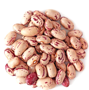 فروش لوبیا چیتی