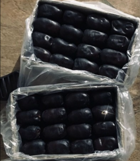 فروش خرما