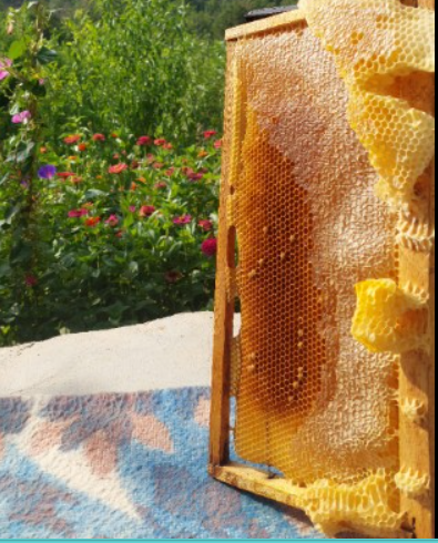 فروش عسل