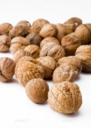 فروش گردو