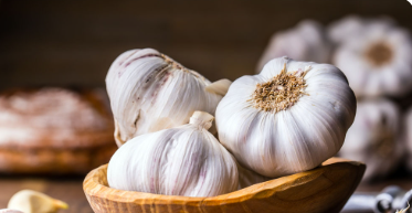فروش سیر