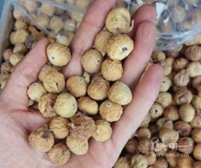 فروش انجیر خشک شکلاتی