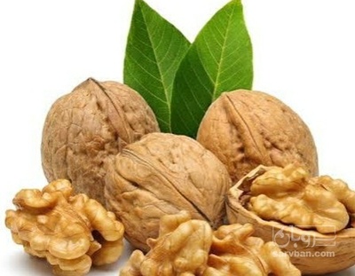 فروش گردو