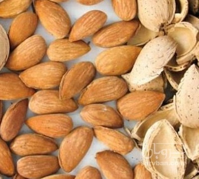 فروش بادام