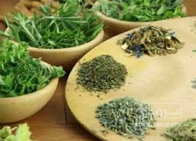فروش ترخون (گیاه‌ دارویی)