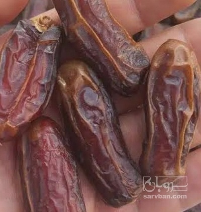 فروش خرما شاهانی