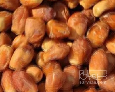 فروش خرما زاهدی