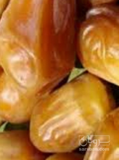 فروش خرما زاهدی