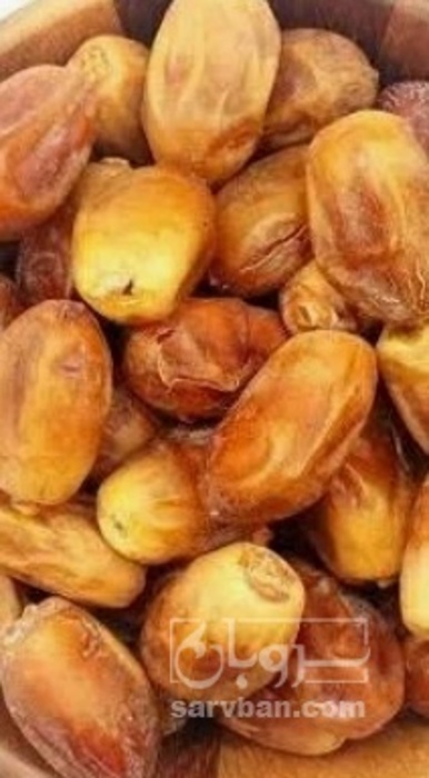 فروش خرما زاهدی