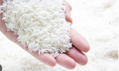 فروش برنج