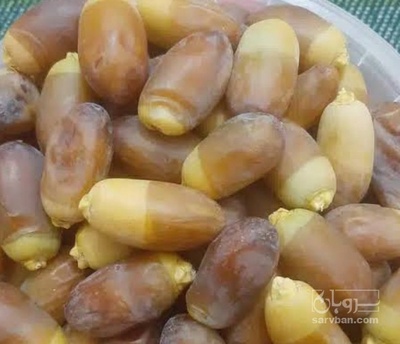 فروش رطب برحی