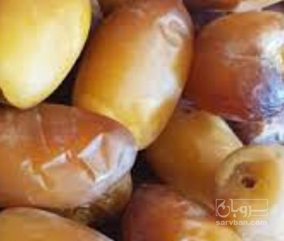 فروش رطب کبکاب