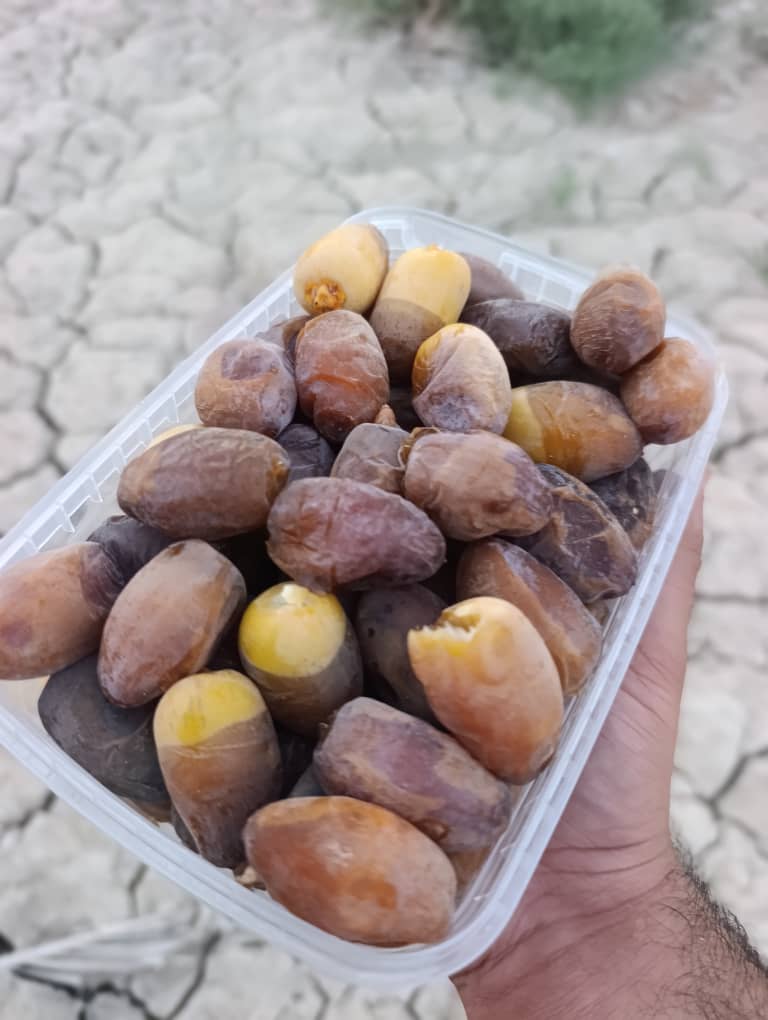 فروش خرما