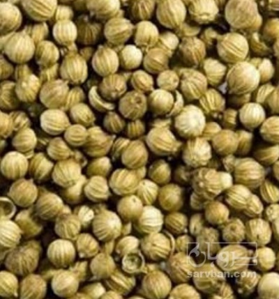 فروش تخم گشنیز (گیاه‌ دارویی)