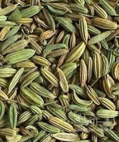 فروش زیره (گیاه‌ دارویی)
