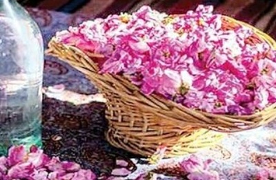 فروش عرق گلاب