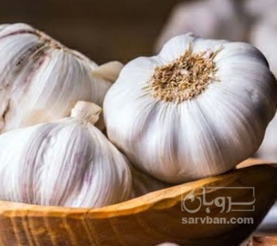 فروش سیر
