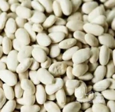 فروش لوبیا سفید